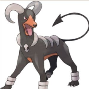 Meet your Posher, Heidi